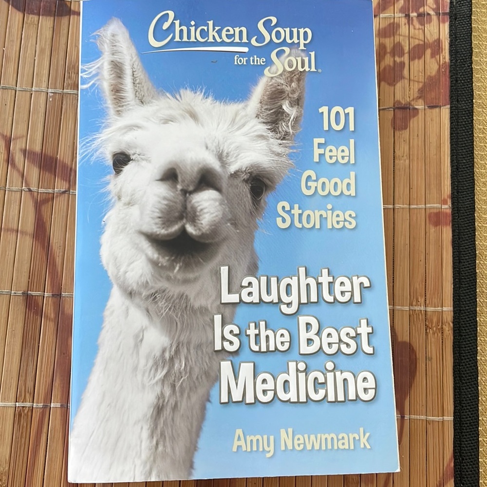 Chicken Soup for the Soul.  By Amy Newmark